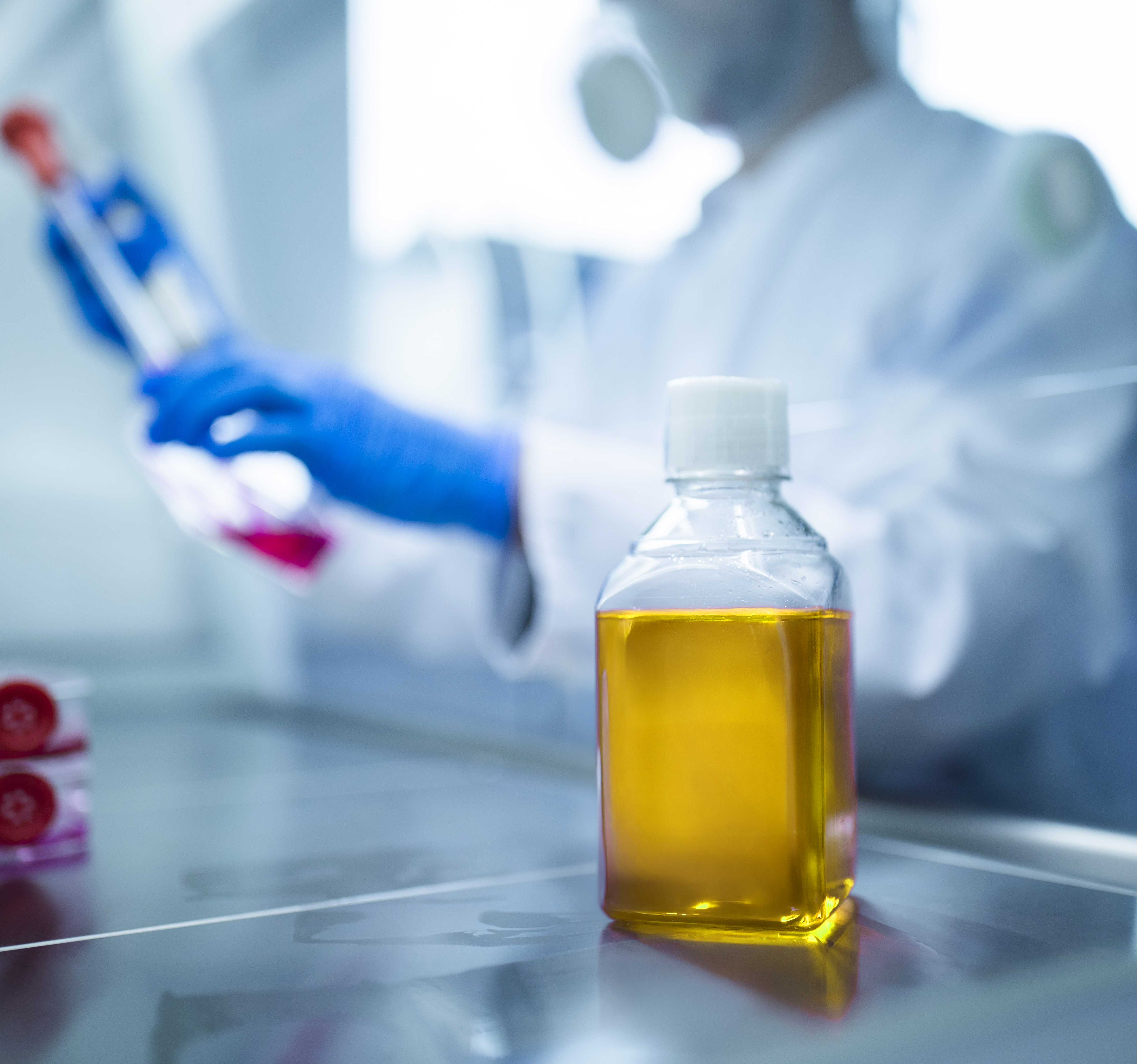 Heat-Inactivated FBS: When It Makes Sense and When It Doesn’t